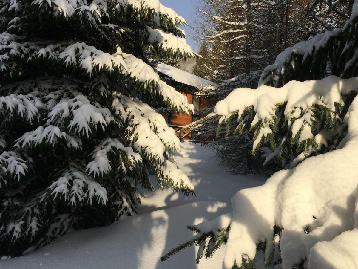 Chalet Rackova Dolina Pribylina Exterior foto